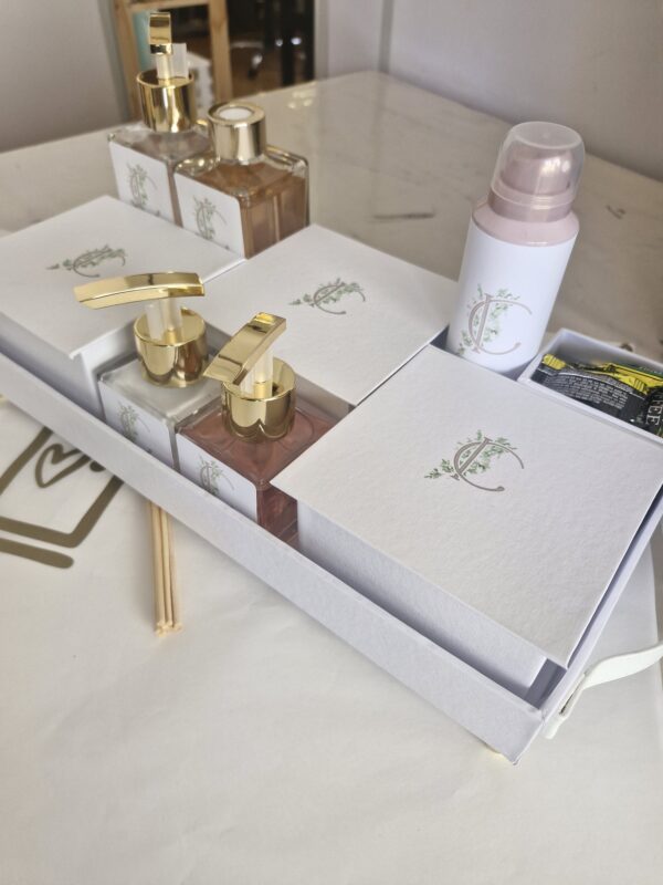 bandeja Lavabo Feminina com álcool em gel e Envelopes