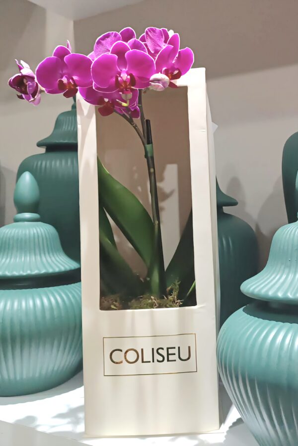 Mimo para clientes da loja COLISEU